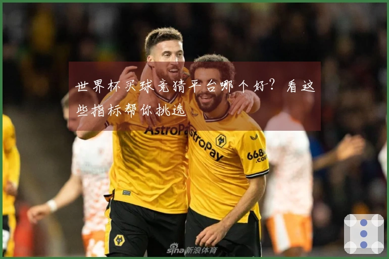 世界杯买球竞猜平台哪个好？看这些指标帮你挑选
