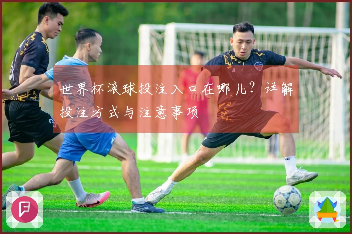 世界杯滚球投注入口在哪儿？详解投注方式与注意事项