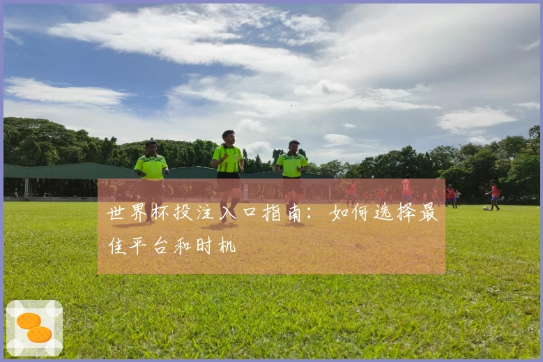 世界杯投注入口指南：如何选择最佳平台和时机