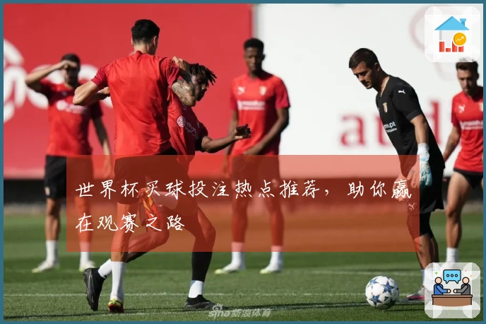 世界杯买球投注热点推荐，助你赢在观赛之路