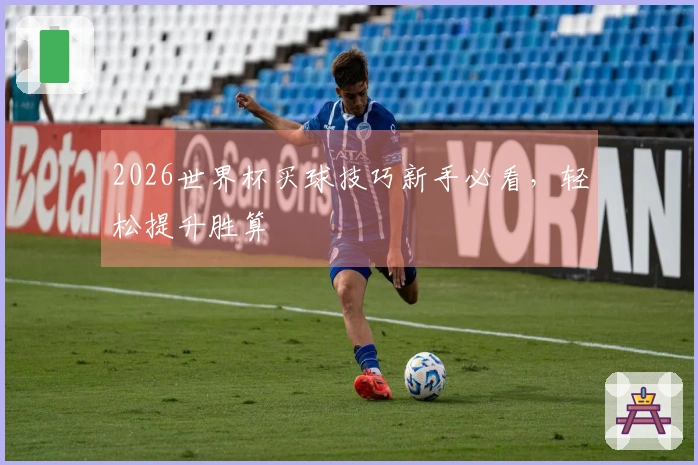 2026世界杯买球技巧新手必看，轻松提升胜算