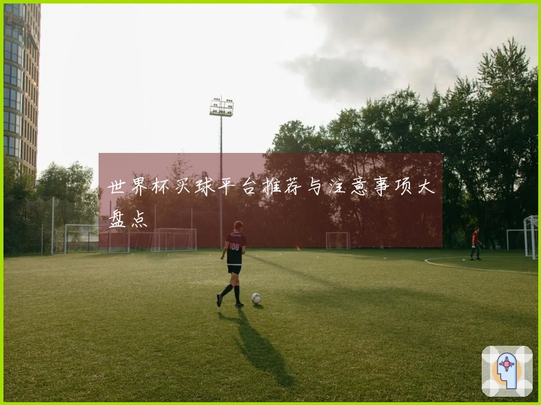 世界杯买球平台推荐与注意事项大盘点