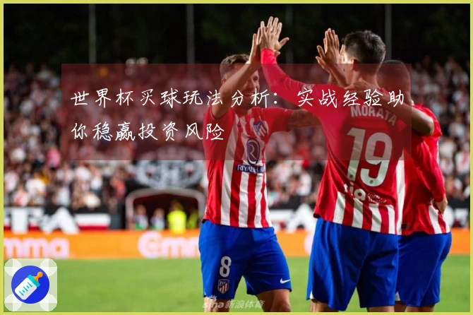 世界杯买球玩法分析：实战经验助你稳赢投资风险