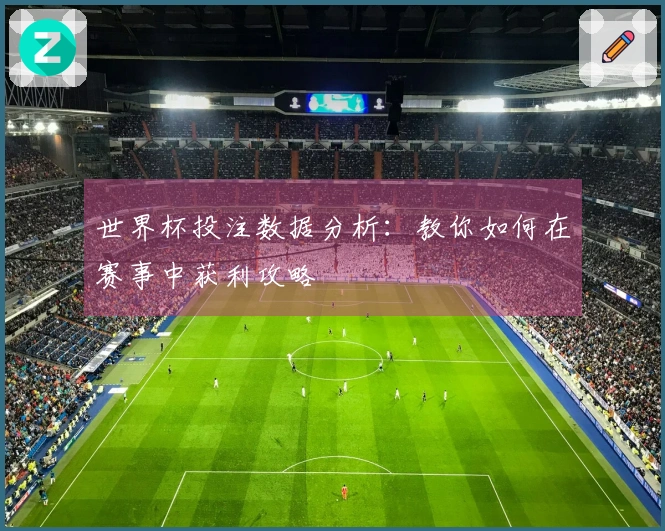 世界杯投注数据分析：教你如何在赛事中获利攻略