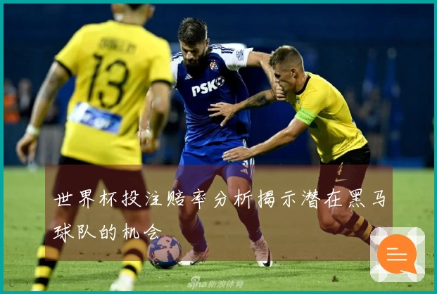 世界杯投注赔率分析揭示潜在黑马球队的机会