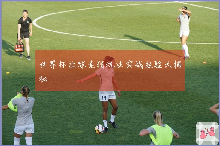 世界杯让球竞猜玩法实战经验大揭秘