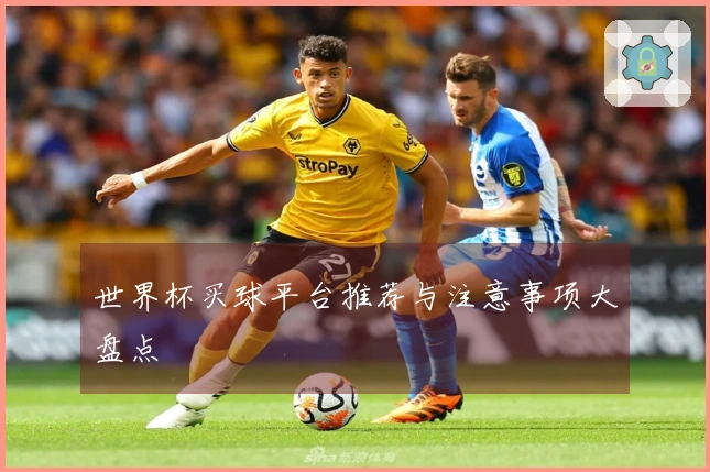 世界杯买球平台推荐与注意事项大盘点