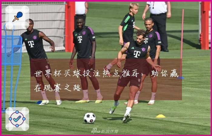 世界杯买球投注热点推荐，助你赢在观赛之路