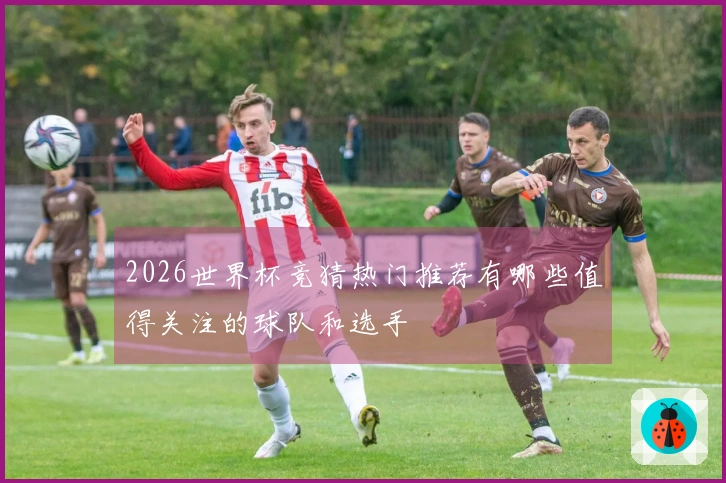 2026世界杯竞猜热门推荐有哪些值得关注的球队和选手