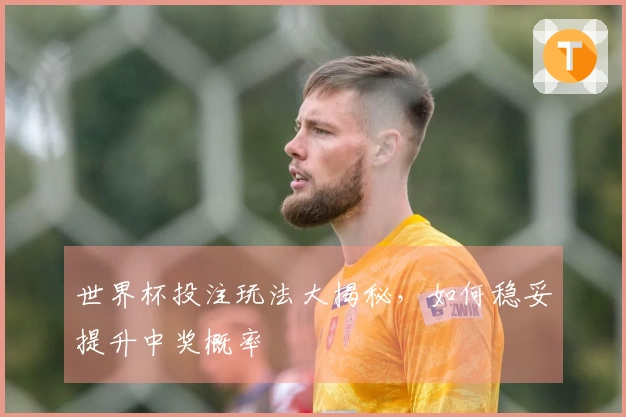 世界杯投注玩法大揭秘，如何稳妥提升中奖概率