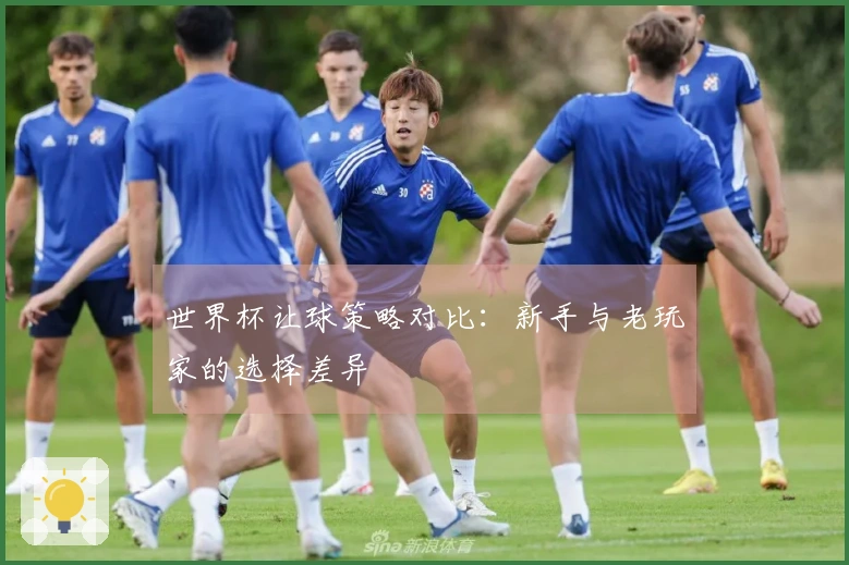 世界杯让球策略对比：新手与老玩家的选择差异