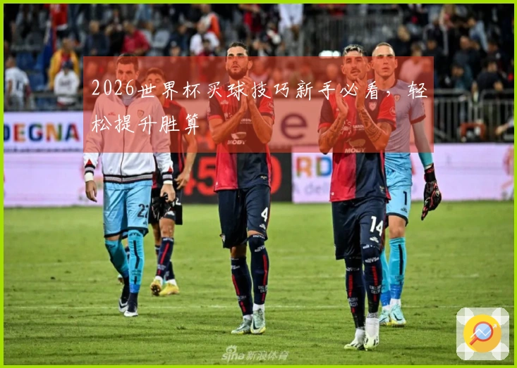 2026世界杯买球技巧新手必看，轻松提升胜算
