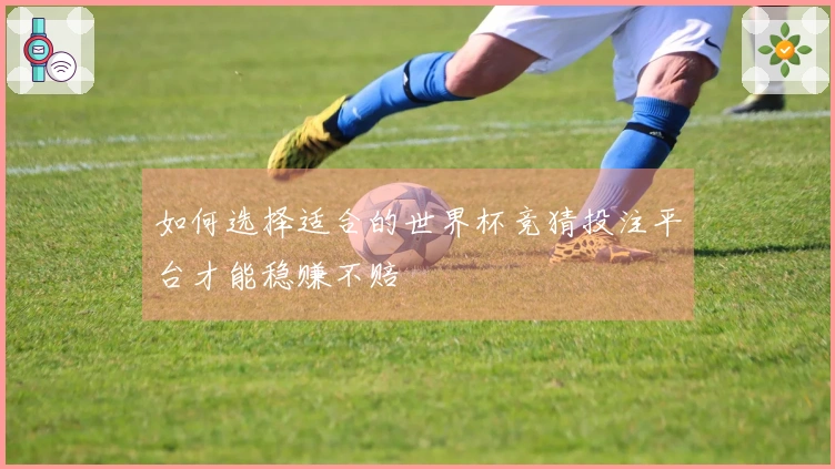 如何选择适合的世界杯竞猜投注平台才能稳赚不赔