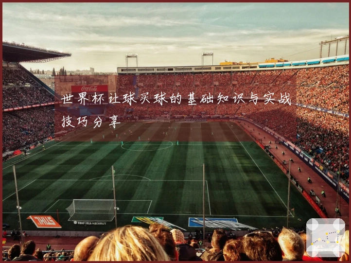 世界杯让球买球的基础知识与实战技巧分享