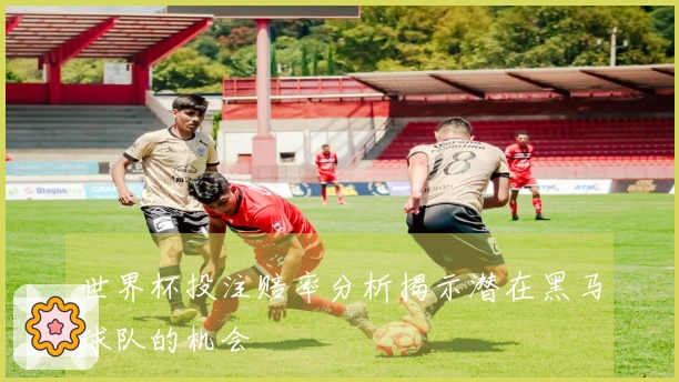 世界杯投注赔率分析揭示潜在黑马球队的机会