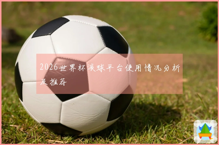 2026世界杯滚球平台使用情况分析及推荐