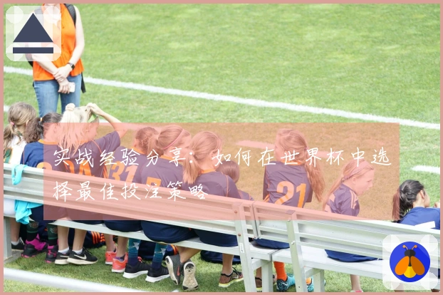 实战经验分享：如何在世界杯中选择最佳投注策略