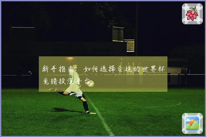 新手指南：如何选择合适的世界杯竞猜投注平台