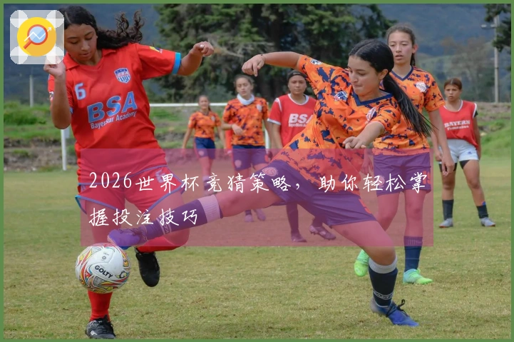 2026世界杯竞猜策略，助你轻松掌握投注技巧