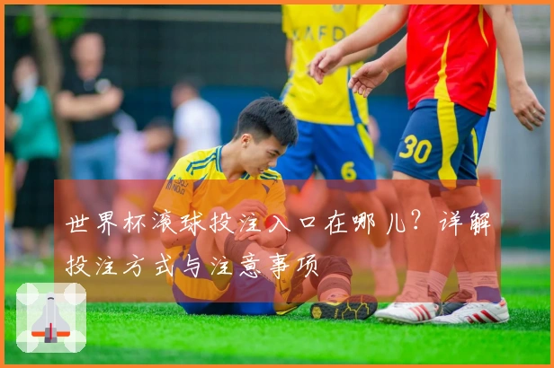世界杯滚球投注入口在哪儿？详解投注方式与注意事项