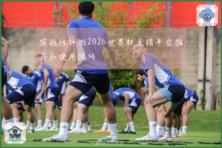 实战性评测2026世界杯竞猜平台推荐和使用技巧