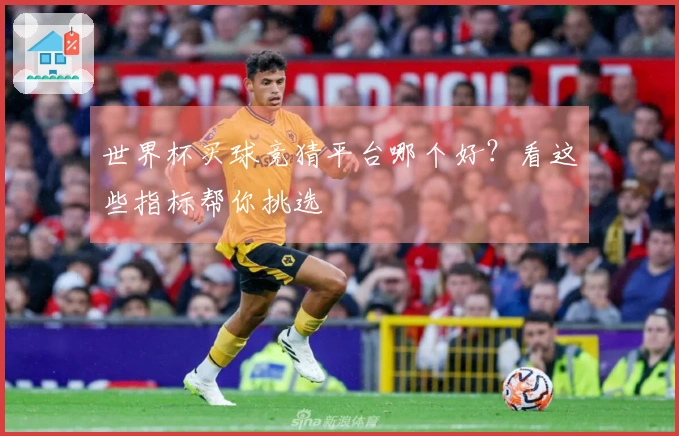 世界杯买球竞猜平台哪个好？看这些指标帮你挑选