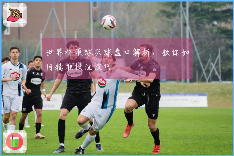 世界杯滚球买球盘口解析，教你如何精准投注技巧